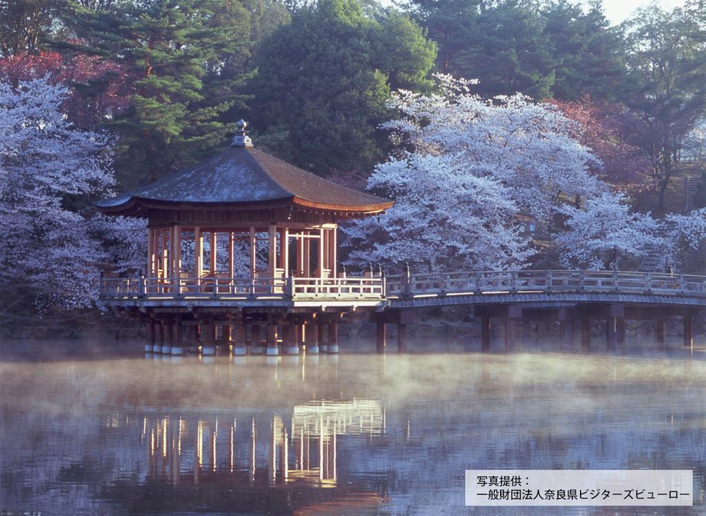 Hotel Pagoda Nara Exterior photo